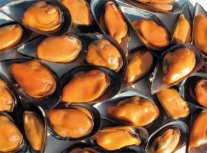 Mejillones de Galicia