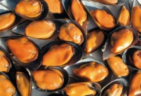 Mejillones-300x2221