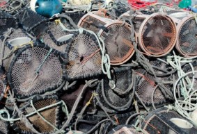 Proyecto-Ancora-452x3001