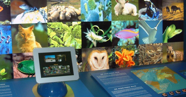 Naturnova