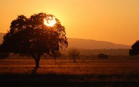 parque nacional cabañeros