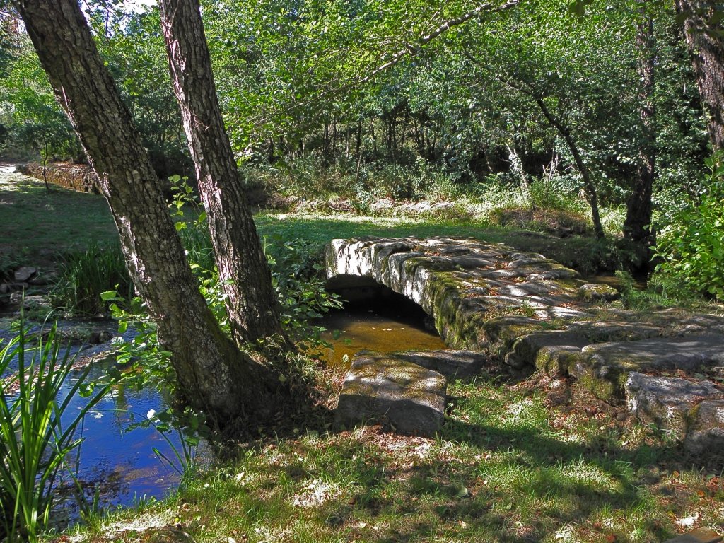 El río Tambre a su paso por Brión